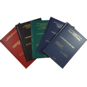 Coperti de licenta Buftea